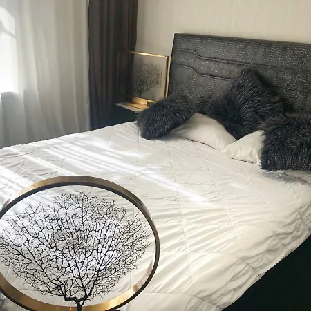 Otel Solid Odessa
